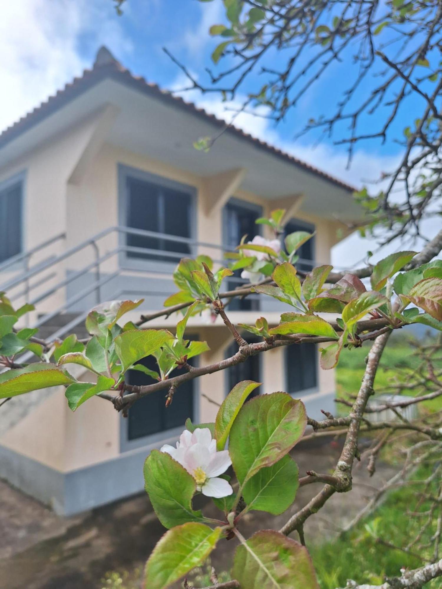 Villa Correia - Ribeiro Frio São Roque do Faial Buitenkant foto